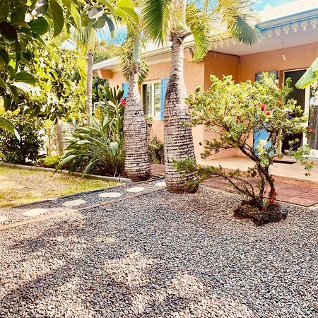 L'Oasis Saint Pierroise Et Son Jacuzzi Villa Eksteriør bilde