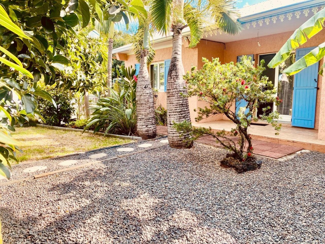 L'Oasis Saint Pierroise Et Son Jacuzzi Villa Eksteriør bilde